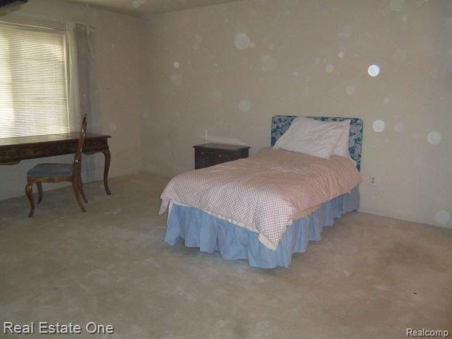 29656 Middlebelt Road, Unit 1401 Farmington, MI 48334 - Photo 6 of 11 Master Bedroom
