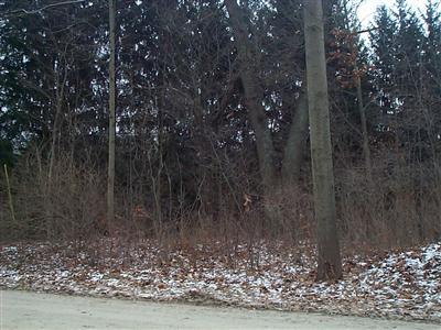 Goose Lake Road St. Paul, MN 55110 - Photo 3 of 3 Additional Photo