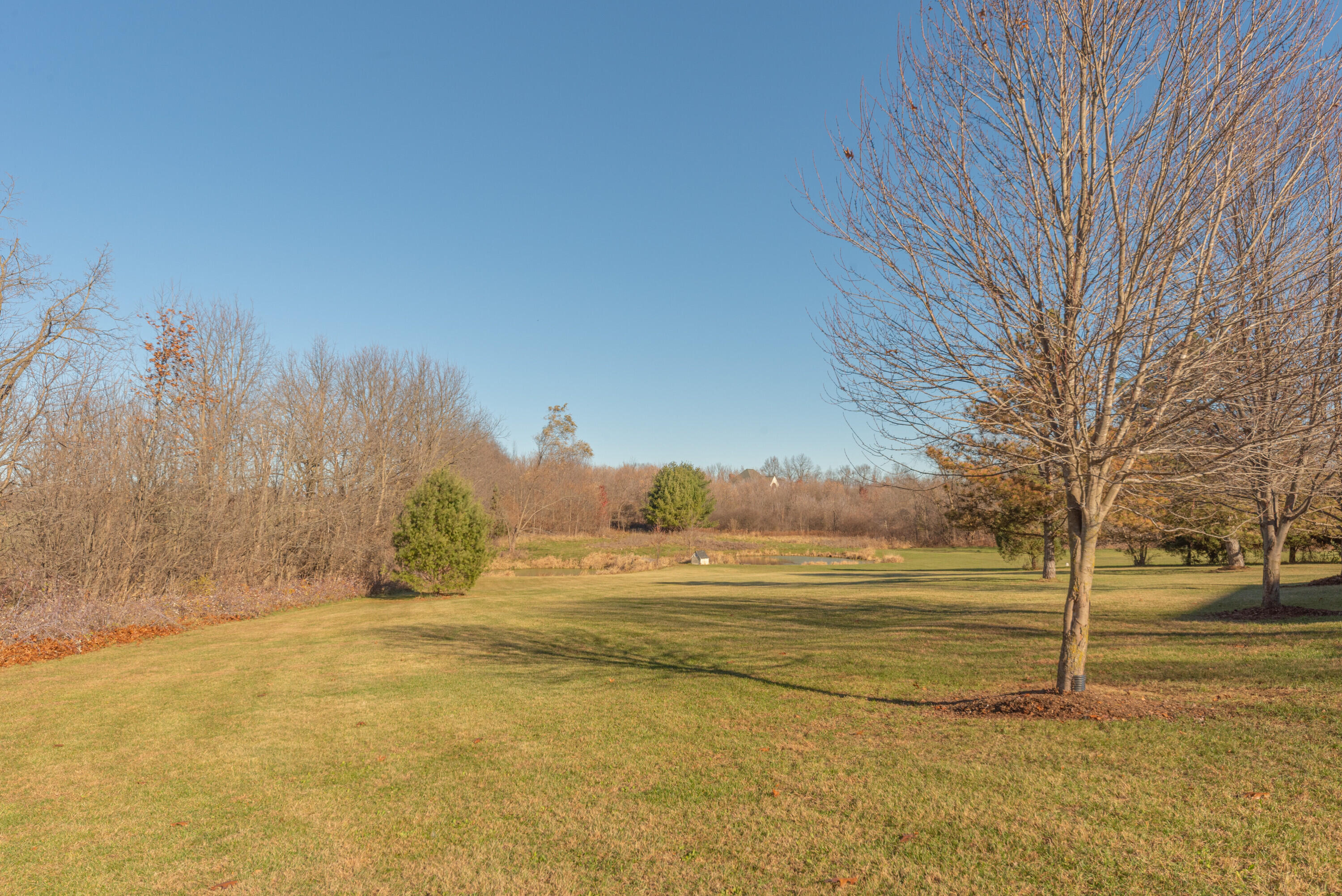 6838 Daly Road Dexter, MI 48130 - Photo 4 of 66 004_20