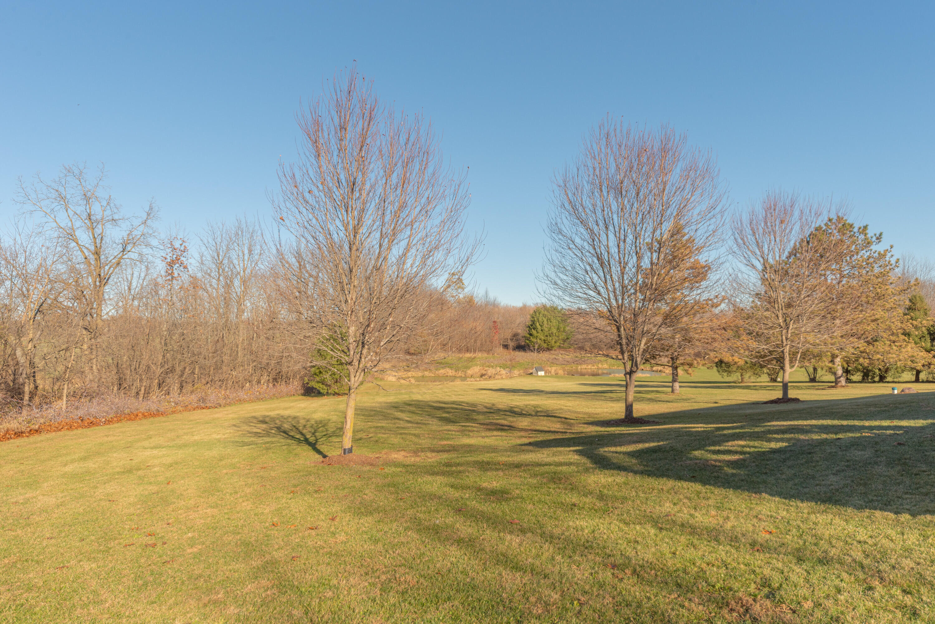 6838 Daly Road Dexter, MI 48130 - Photo 5 of 66 005_19