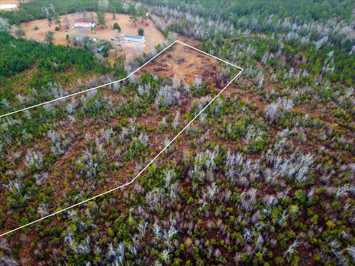 1924 Hudson Mill Road Ruffin, SC 29475 - Photo 11 of 20 12-DJI_0212 5
