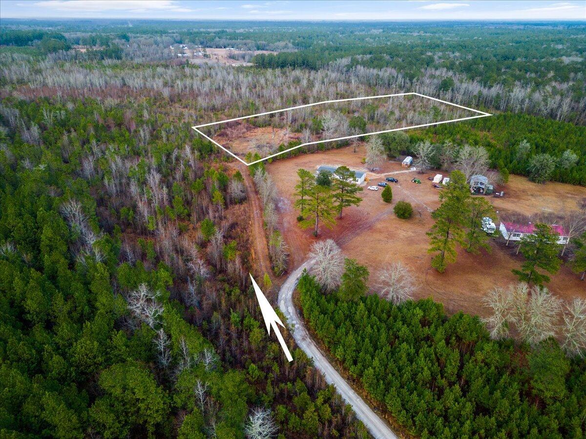 1924 Hudson Mill Road Ruffin, SC 29475 - Photo 17 of 20 18-DJI_0236 5