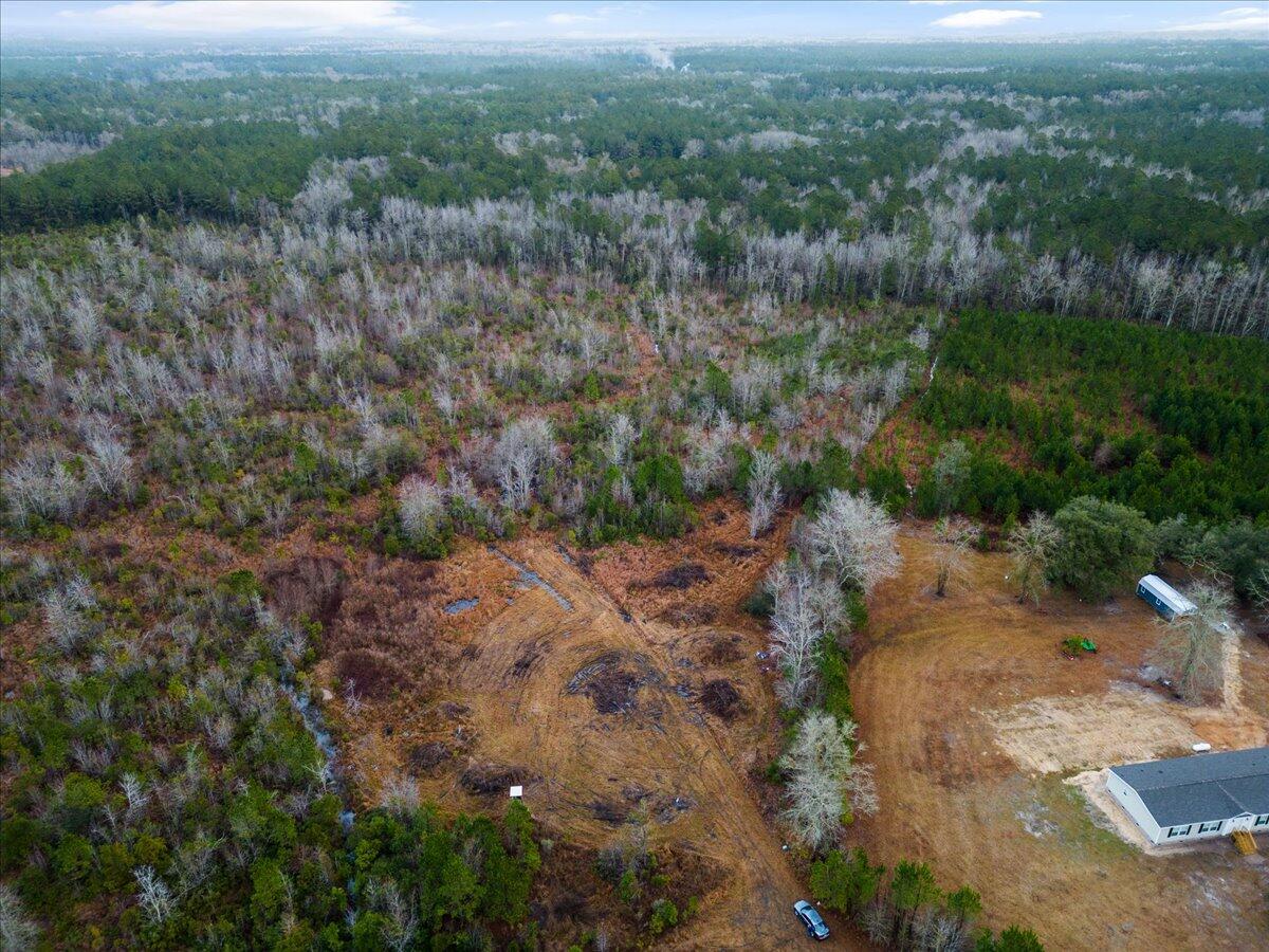 1924 Hudson Mill Road Ruffin, SC 29475 - Photo 3 of 20 03-DJI_0189