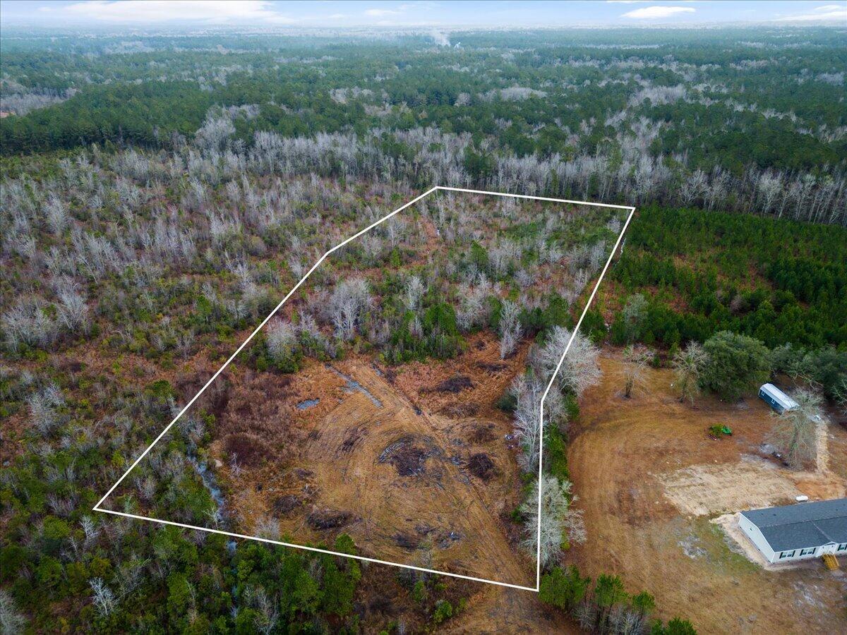 1924 Hudson Mill Road Ruffin, SC 29475 - Photo 4 of 20 04-DJI_0189 5
