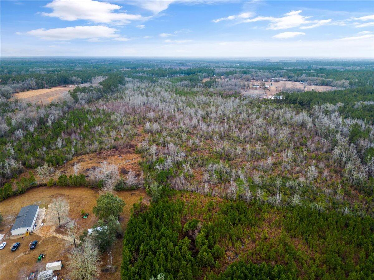 1924 Hudson Mill Road Ruffin, SC 29475 - Photo 5 of 20 05-DJI_0201