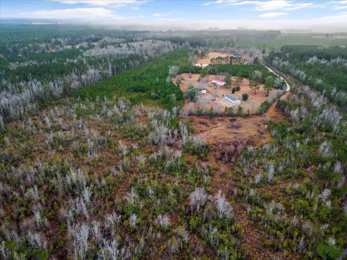 1924 Hudson Mill Road Ruffin, SC 29475 - Photo 6 of 20 07-DJI_0206