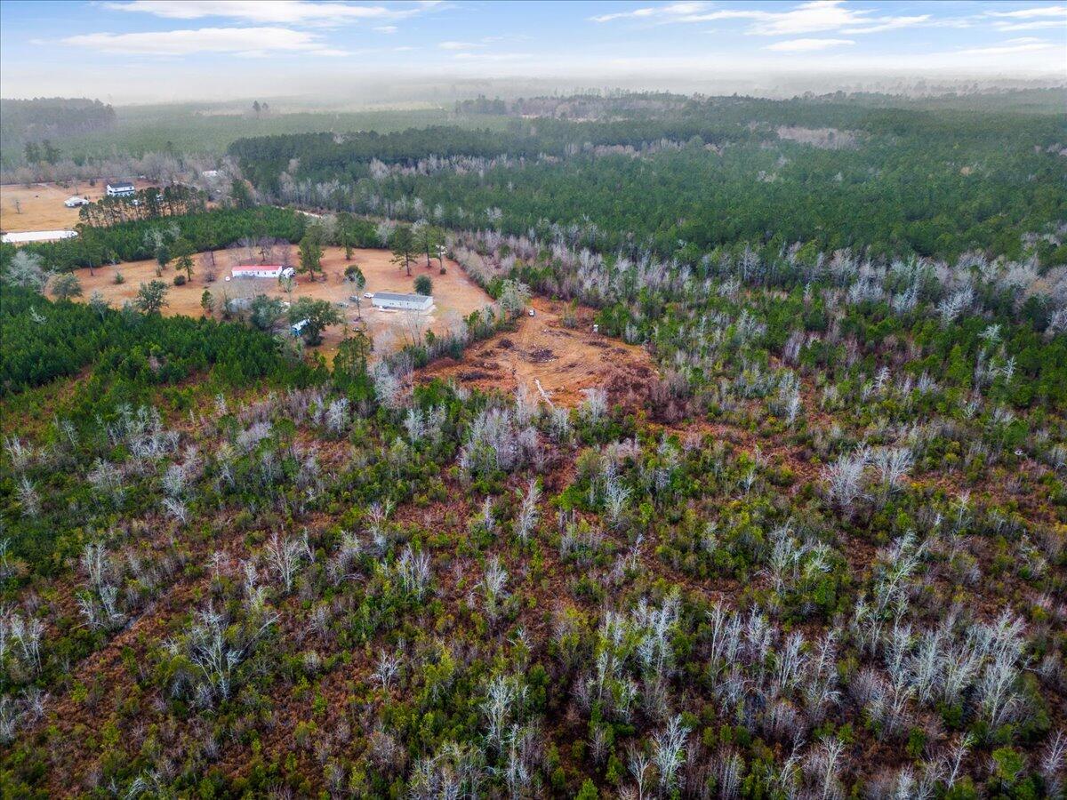 1924 Hudson Mill Road Ruffin, SC 29475 - Photo 8 of 20 09-DJI_0211