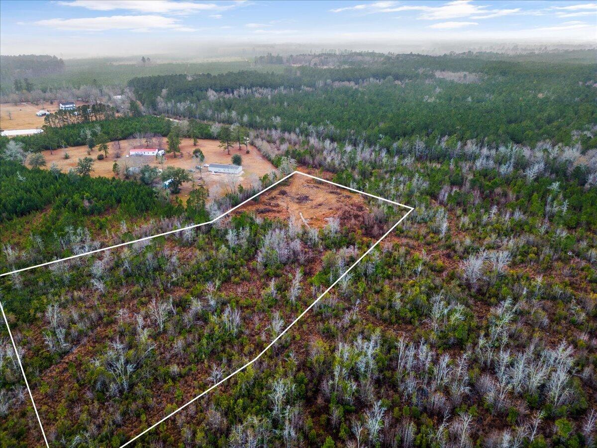 1924 Hudson Mill Road Ruffin, SC 29475 - Photo 9 of 20 10-DJI_0211 5