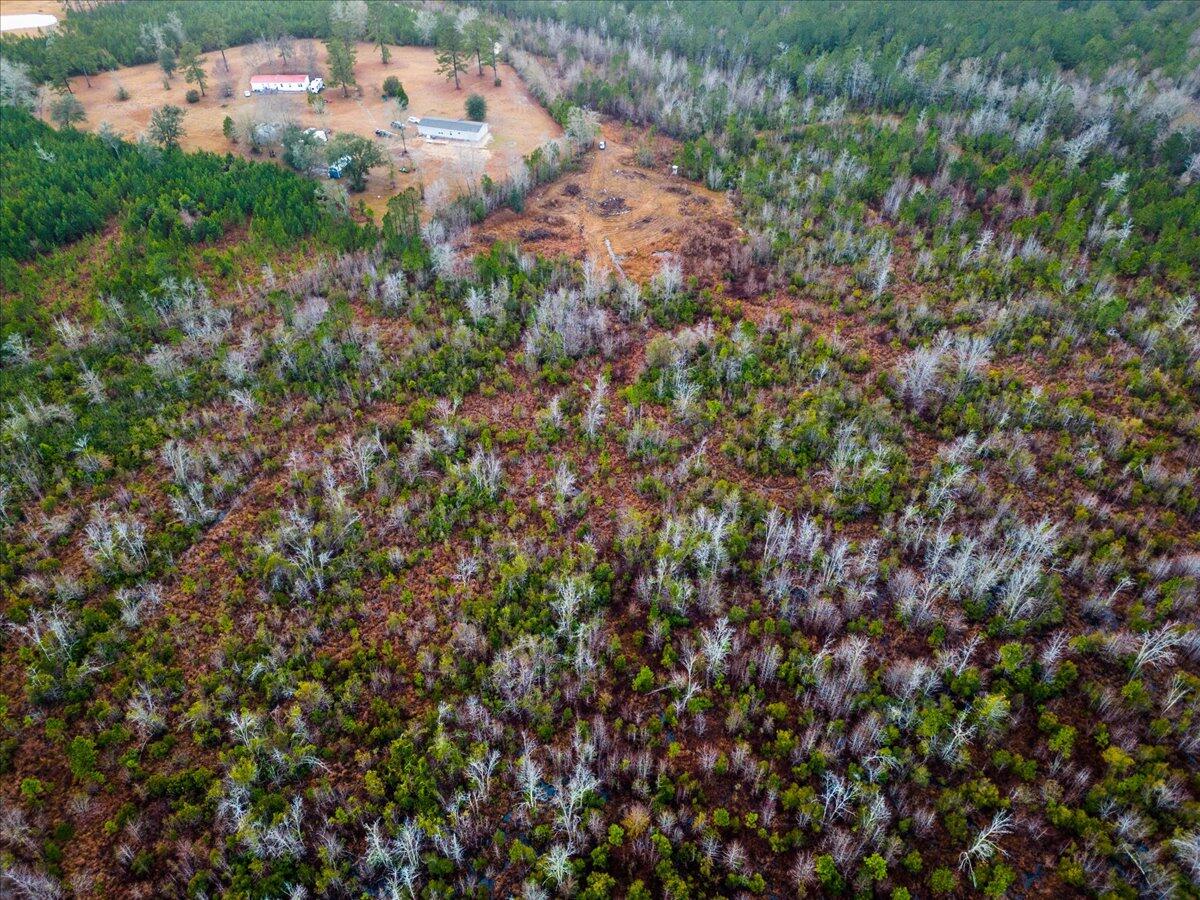 1924 Hudson Mill Road Ruffin, SC 29475 - Photo 10 of 20 11-DJI_0212