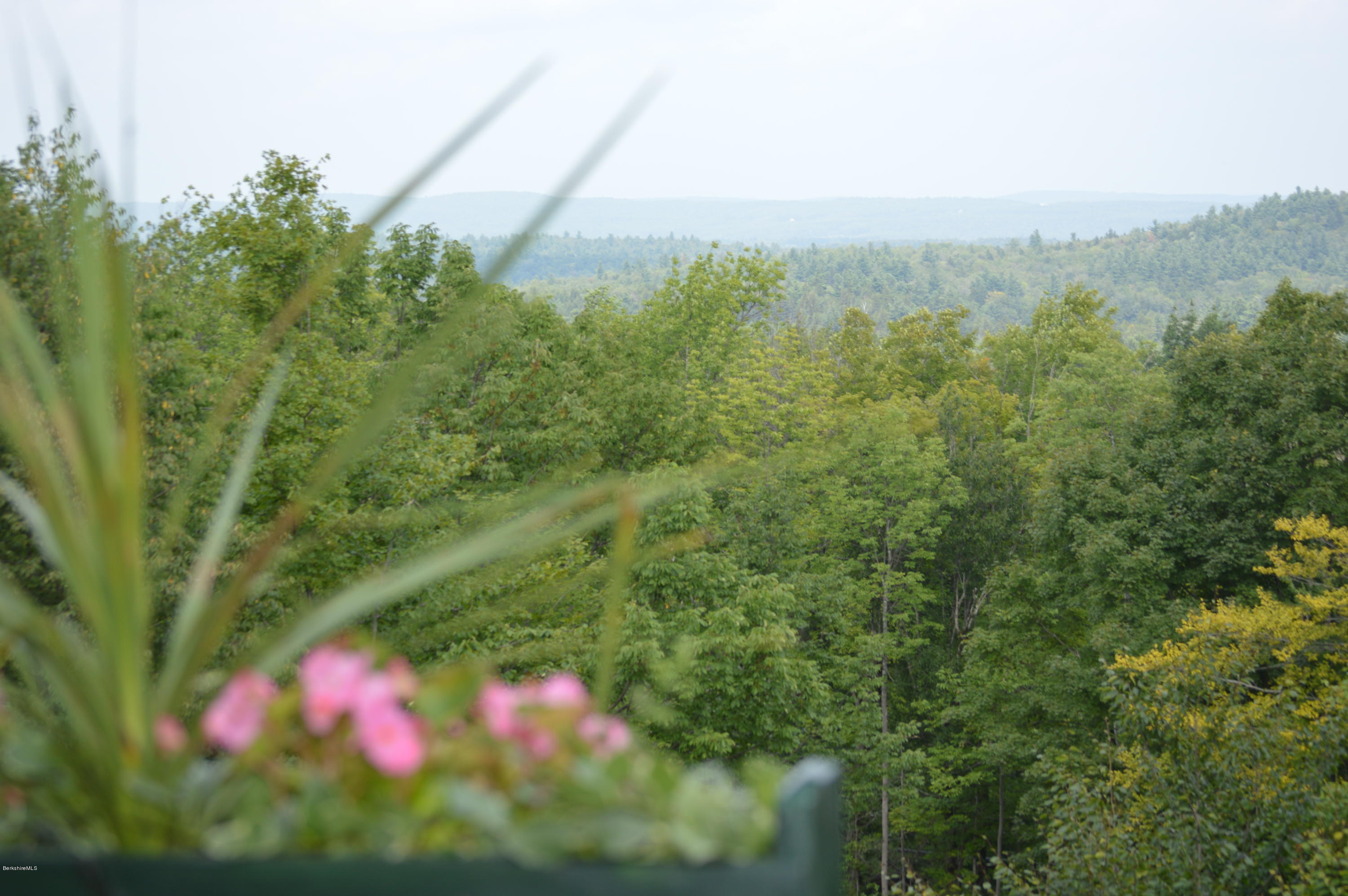1297 Fred Snow Road Becket, MA 01223 - Photo 38 of 41 a view of a city
