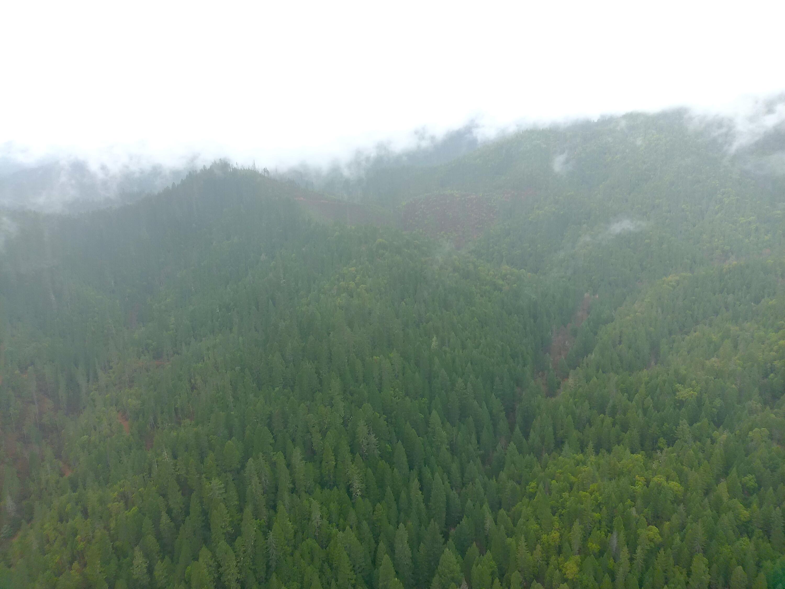 1834 Waters Creek Road Wilderville, OR 97543 - Photo 12 of 14 MAX_0022