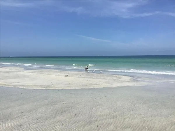$3,500 | 1460 Gulf Boulevard, Unit 308, Clearwater Beach, FL 33767