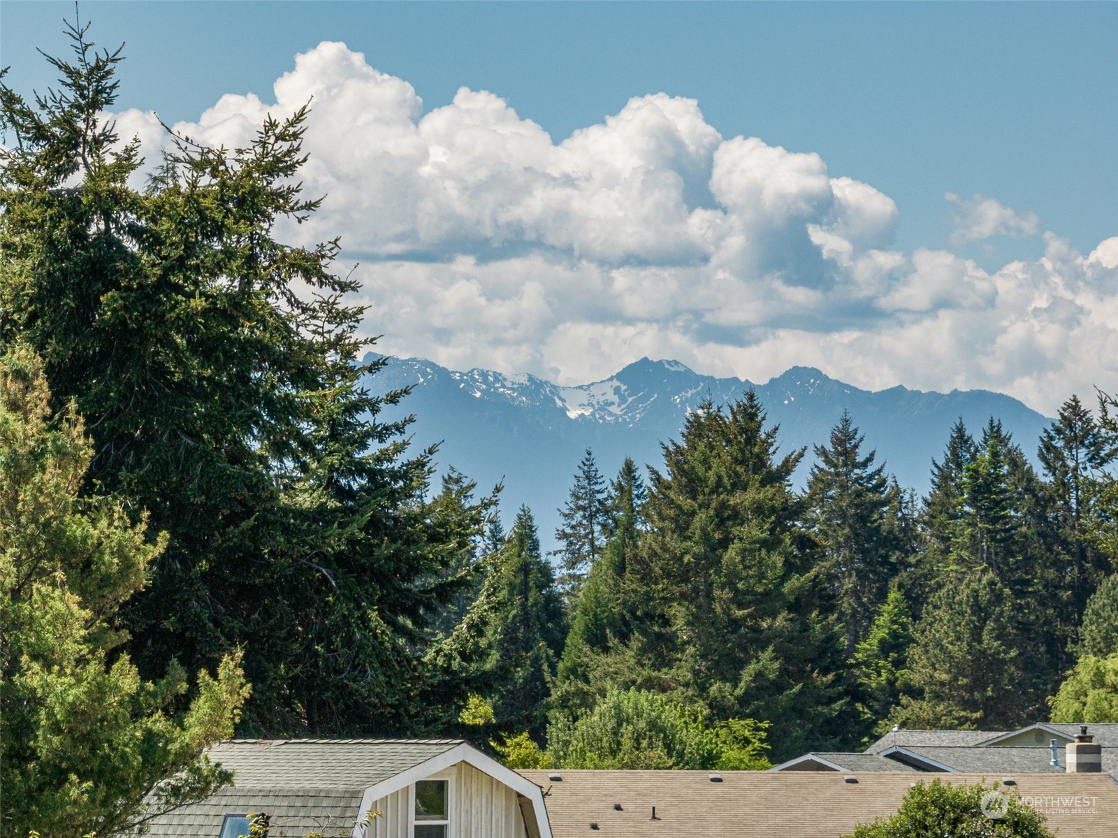999 West Nelson Road, Unit B Sequim, WA 98382 - Photo 8 of 18 a view of a city with lush green forest