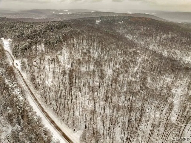 $299,000 | 7730 Irish Hill Road, Ellicottville, NY 14731