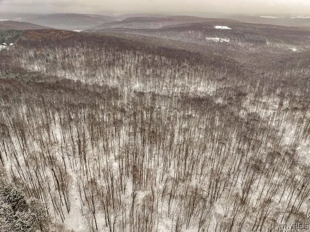 $299,000 | 7730 Irish Hill Road, Ellicottville, NY 14731