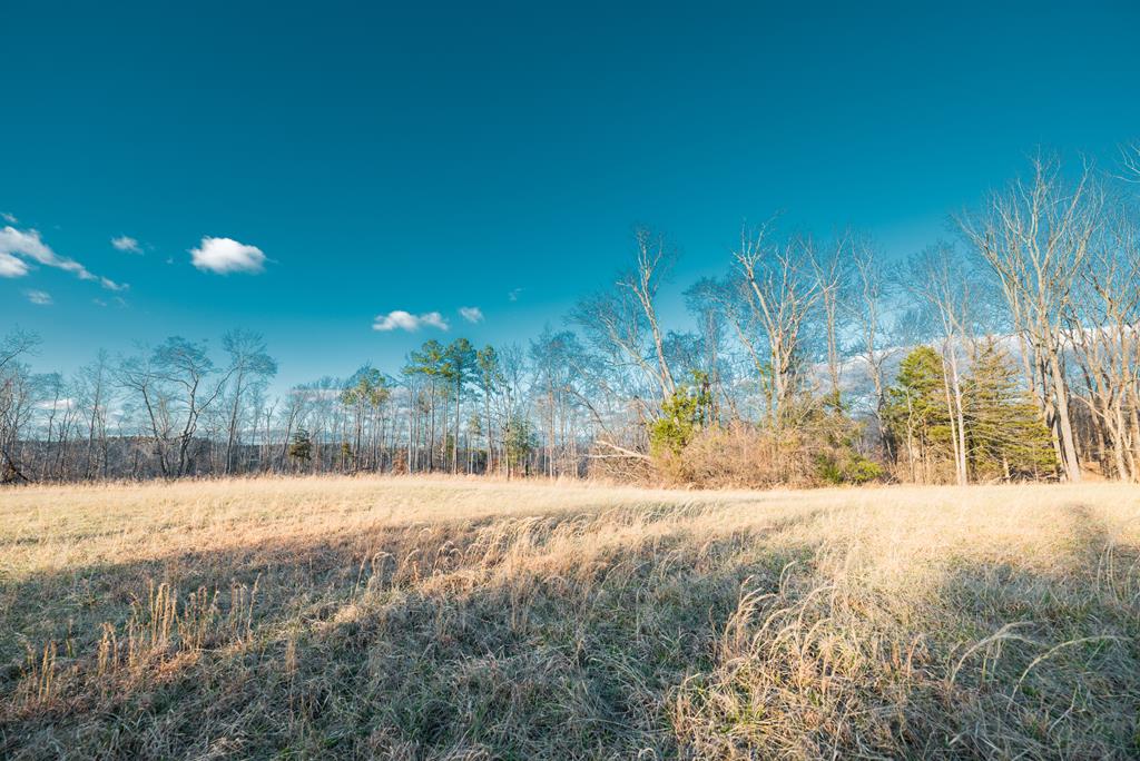 Falkland Road Meherrin, VA 23954 - Photo 12 of 20 Gallery Image 12