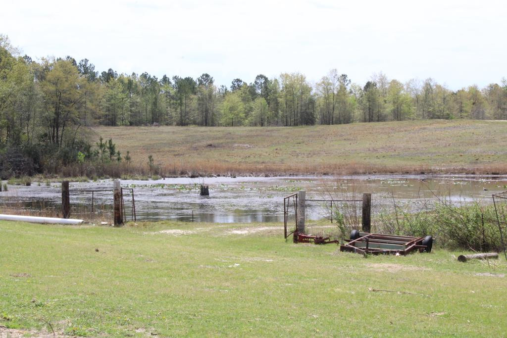 196 Paul Road Monetta, SC 29105 - Photo 6 of 27
