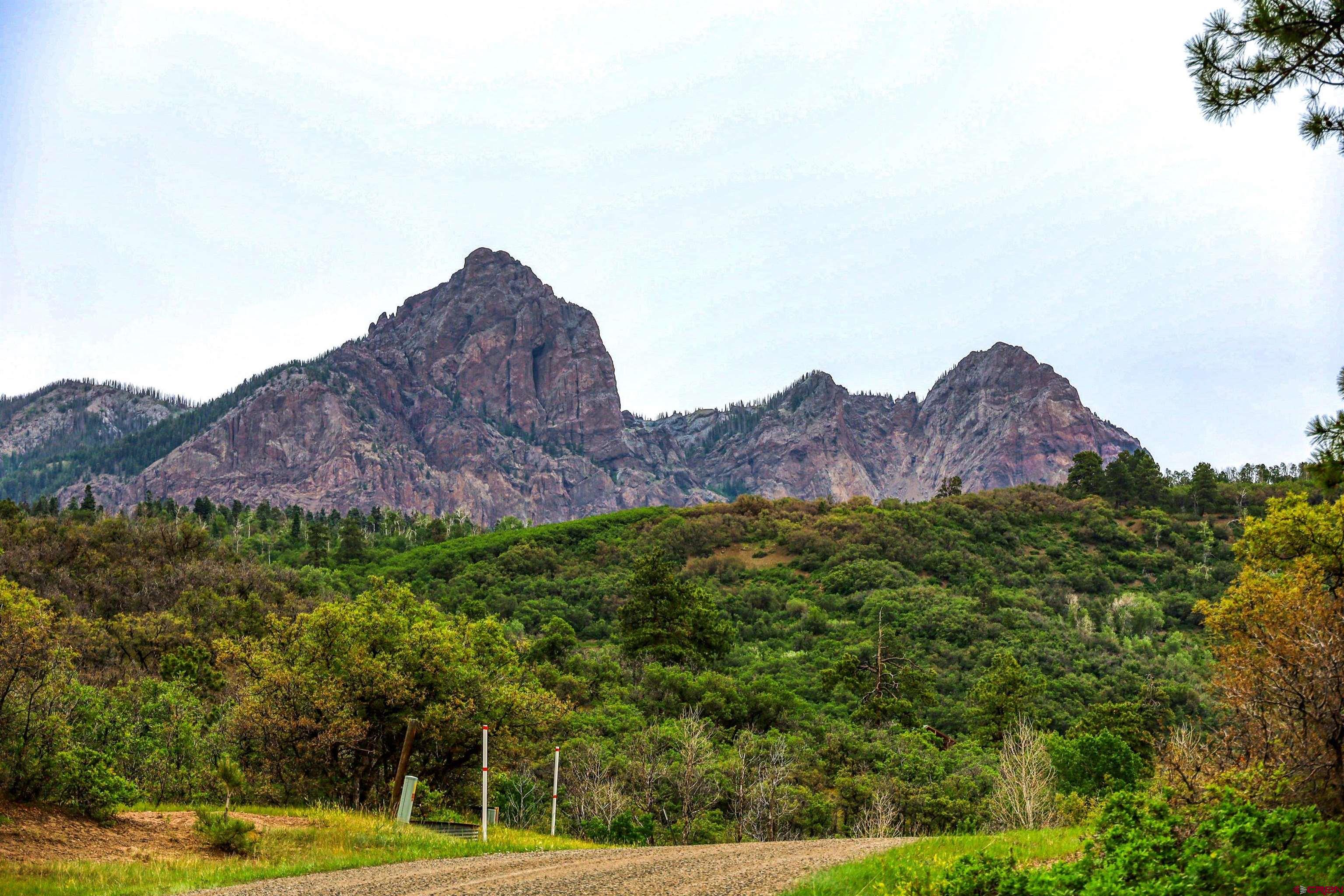 a view of a lush green field