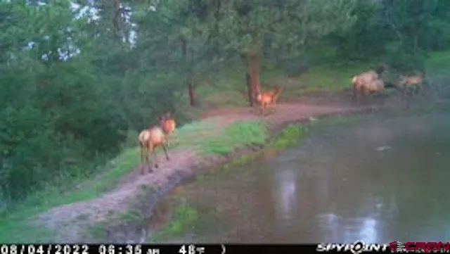 $245,000 | X X Klondike Place, Chromo, CO 81128