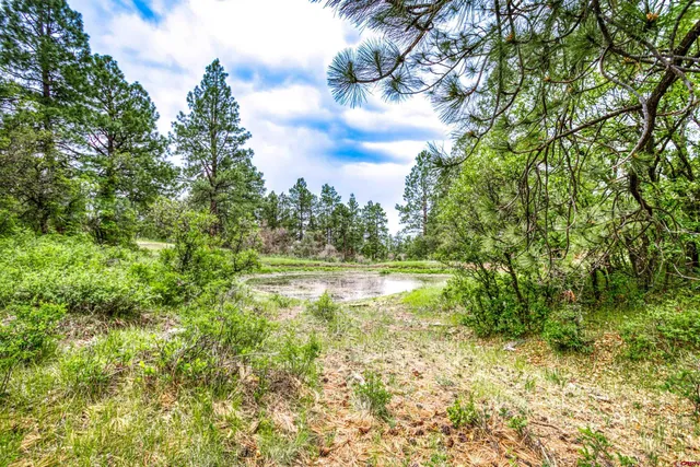 $245,000 | X X Klondike Place, Chromo, CO 81128