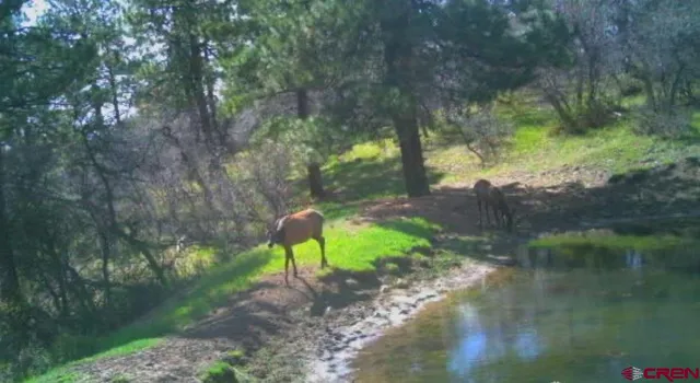 $245,000 | X X Klondike Place, Chromo, CO 81128