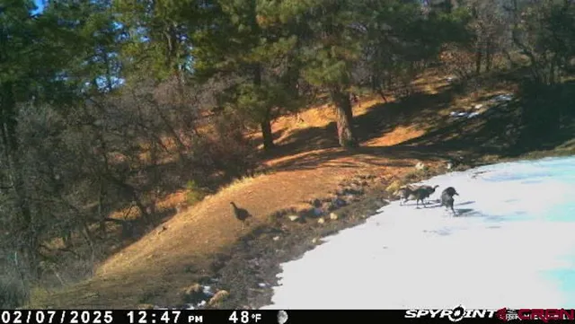 $245,000 | X X Klondike Place, Chromo, CO 81128