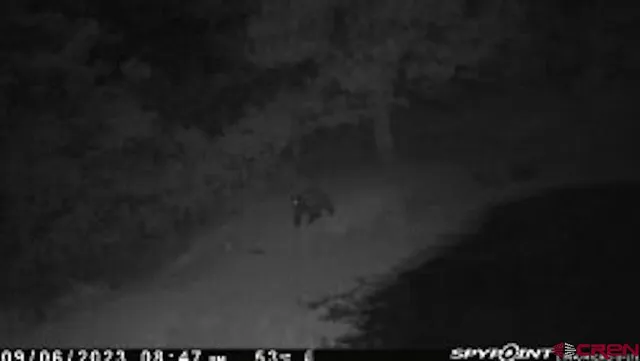 $245,000 | X X Klondike Place, Chromo, CO 81128