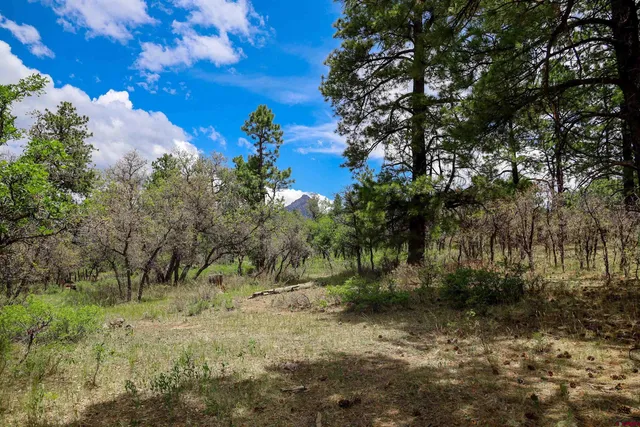 $245,000 | X X Klondike Place, Chromo, CO 81128