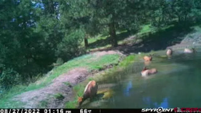 $245,000 | X X Klondike Place, Chromo, CO 81128