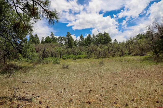 $245,000 | X X Klondike Place, Chromo, CO 81128