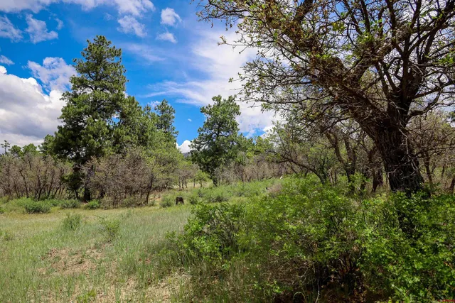 $245,000 | X X Klondike Place, Chromo, CO 81128