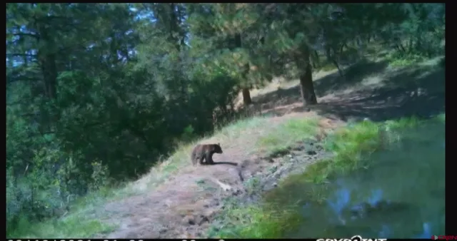 $245,000 | X X Klondike Place, Chromo, CO 81128