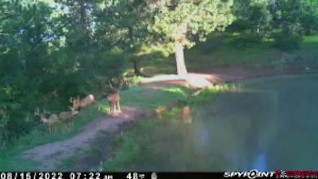 $245,000 | X X Klondike Place, Chromo, CO 81128