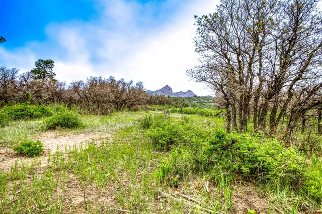 $245,000 | X X Klondike Place, Chromo, CO 81128