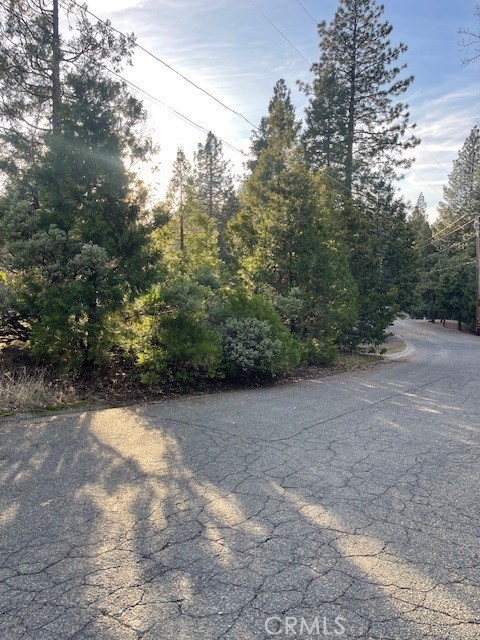 6172 Shad Way Pollock Pines, CA 95726 - Photo 2 of 8