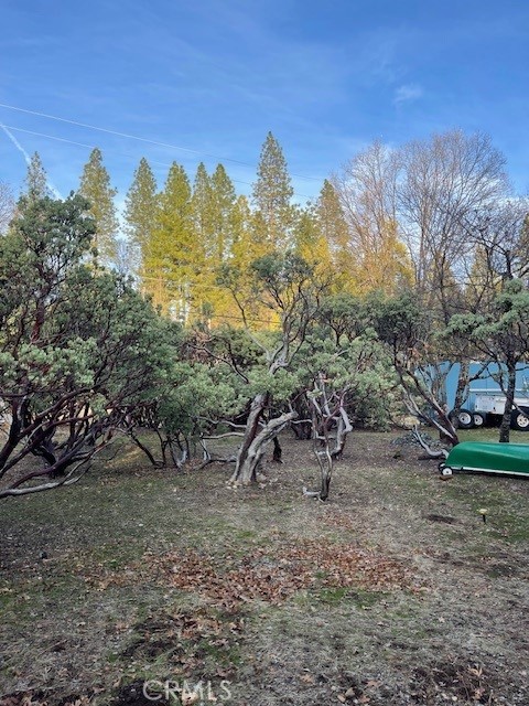 6172 Shad Way Pollock Pines, CA 95726 - Photo 7 of 8