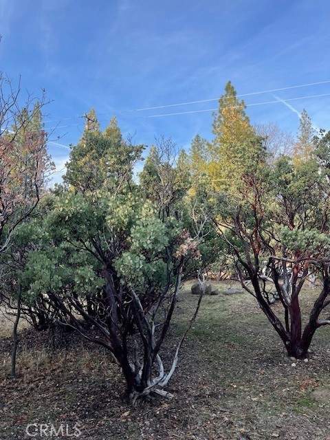 6172 Shad Way Pollock Pines, CA 95726 - Photo 8 of 8