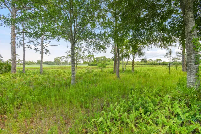 a view of yard tennis court