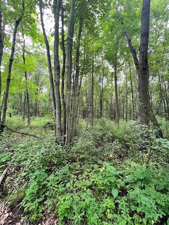 151 Dennison Run Road Polk, PA 16342 - Photo 1 of 8 a view of outdoor space and green space