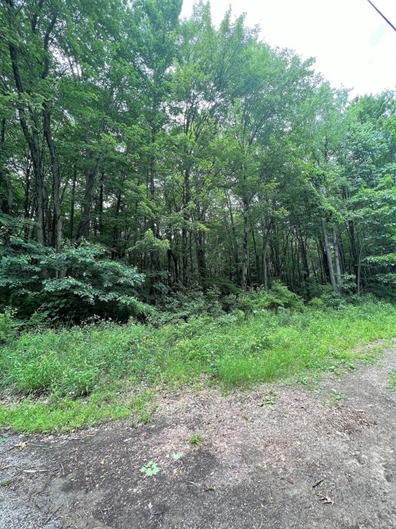 151 Dennison Run Road Polk, PA 16342 - Photo 5 of 8 a view of a yard with a trees