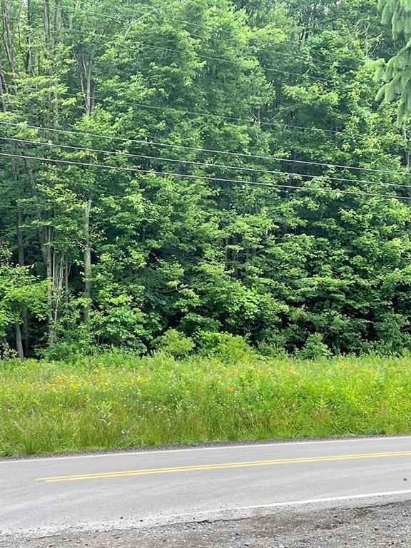 151 Dennison Run Road Polk, PA 16342 - Photo 7 of 8 a view of a yard