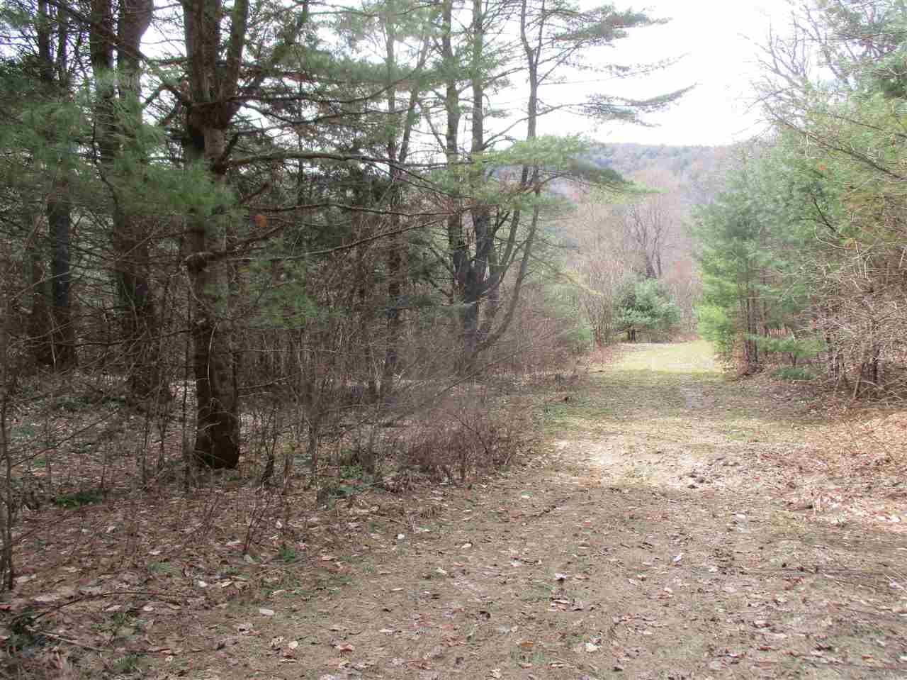 0 Ferris Road Brookfield, VT 05036 - Photo 6 of 18