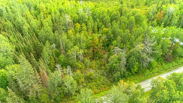 $35,000 | Tbd Comet Road, Embarrass, MN 55732