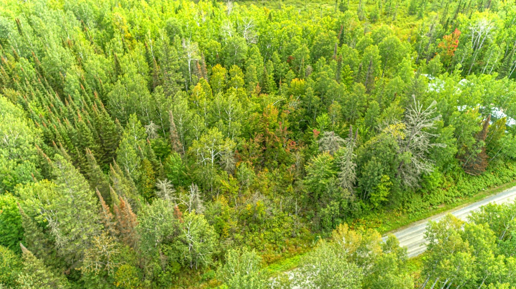 Tbd Comet Road Embarrass, MN 55732 - Photo 7 of 10