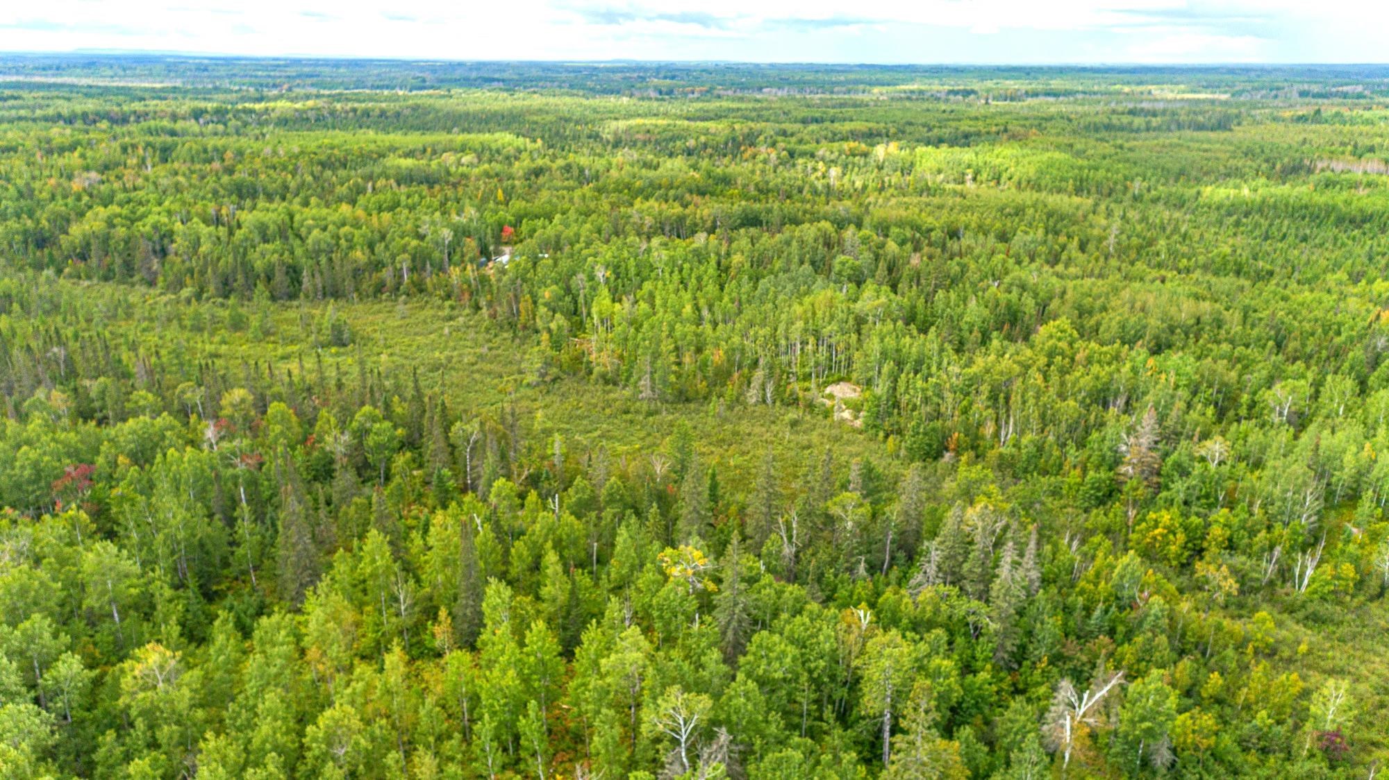 Tbd Comet Road Embarrass, MN 55732 - Photo 8 of 10