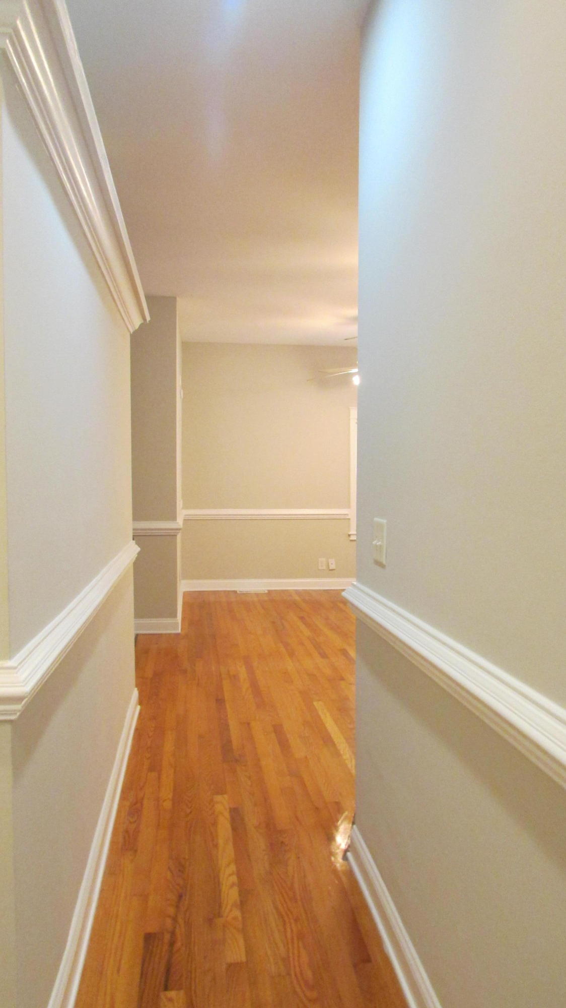 2217 Doris Drive Charleston, SC 29414 - Photo 6 of 17 IMG_1332