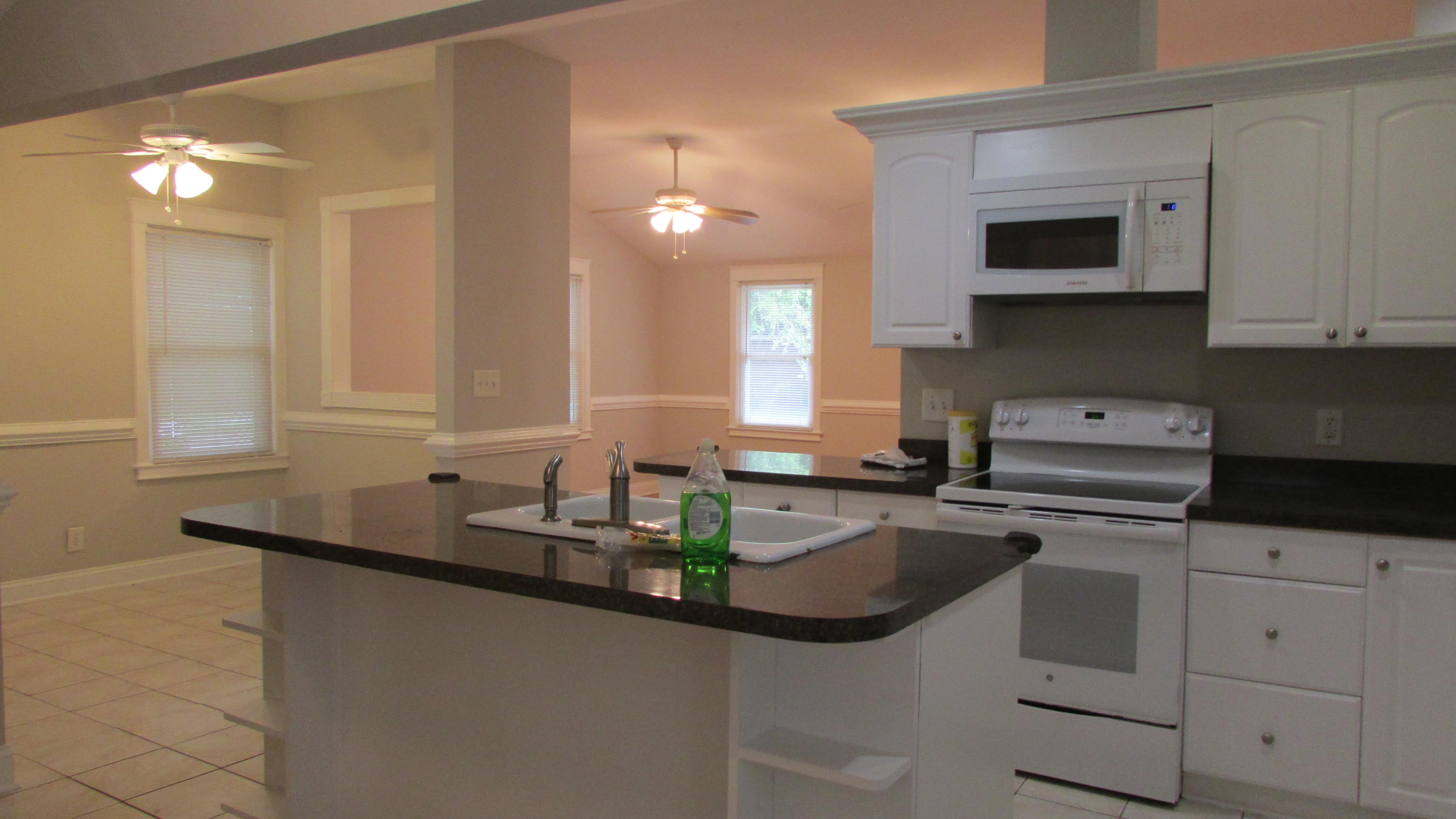 2217 Doris Drive Charleston, SC 29414 - Photo 7 of 17 IMG_1335