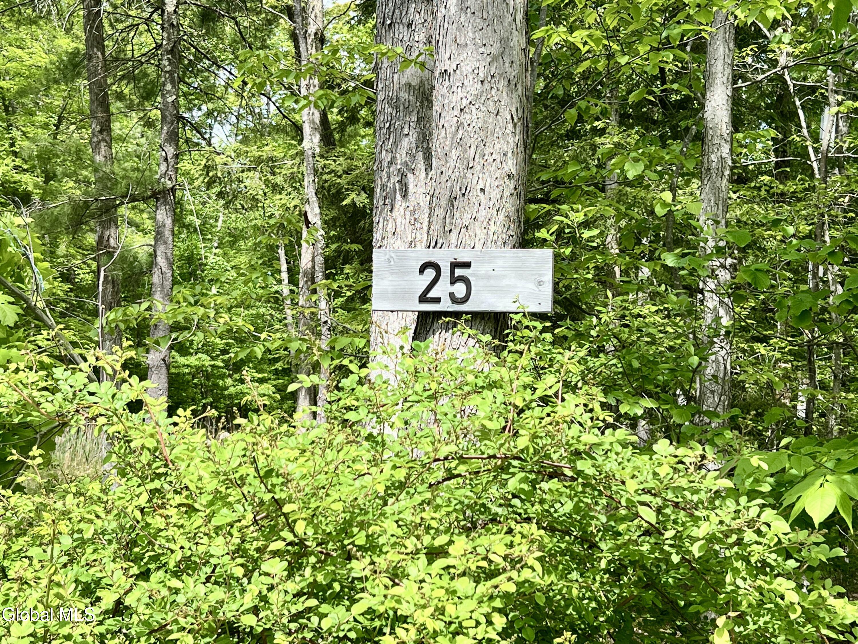 25 Catlin Road Poestenkill, NY 12018 - Photo 2 of 14 IMG_8981
