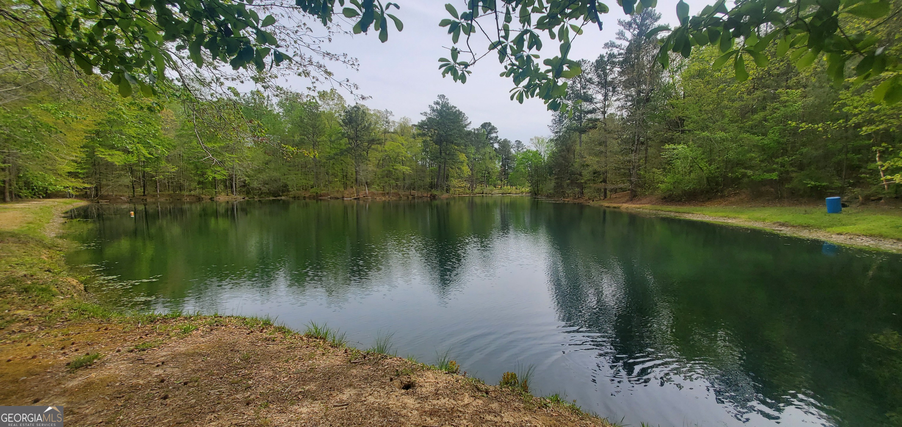 384 Enon Grove Road Franklin, GA 30217 - Photo 2 of 118