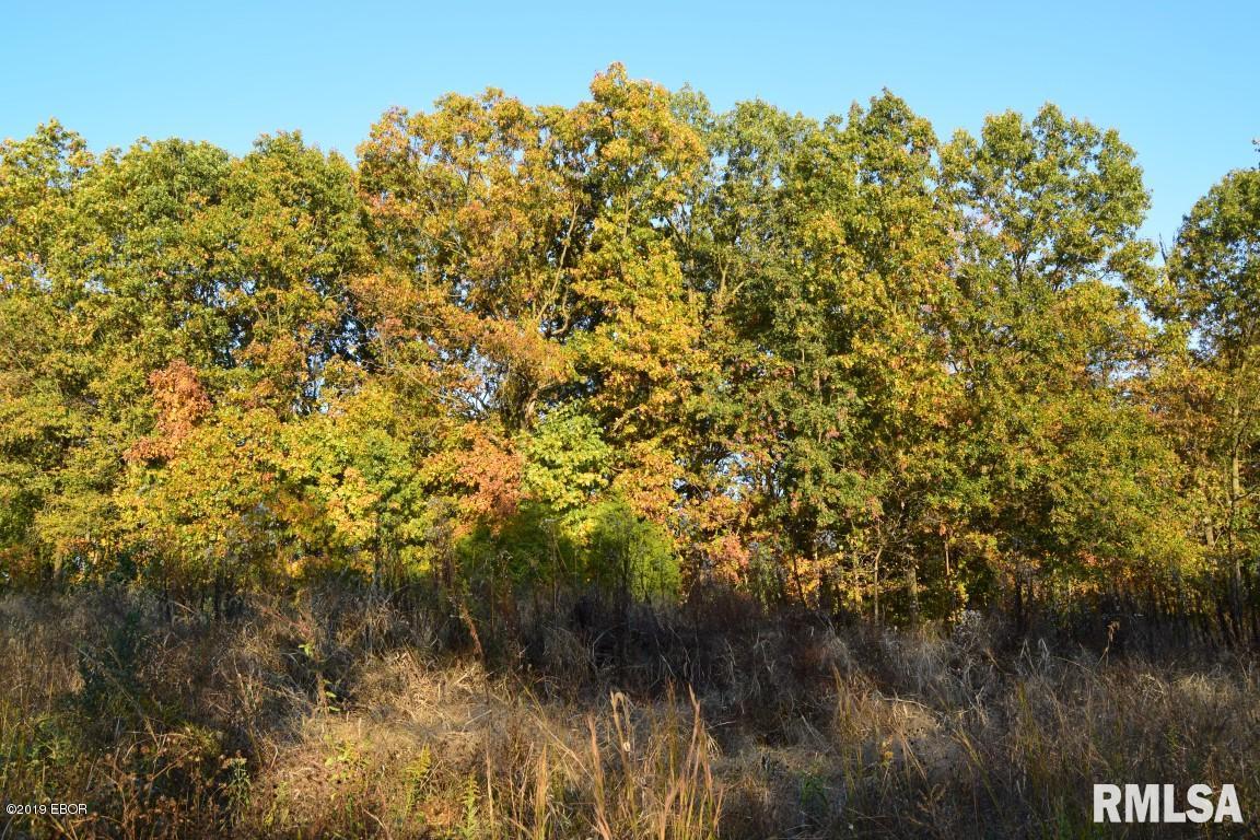265 Falcon Road Carbondale, IL 62902 - Photo 46 of 50 Gallery Image 46